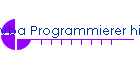 vba Programmierer hilft in Ihren Projekten